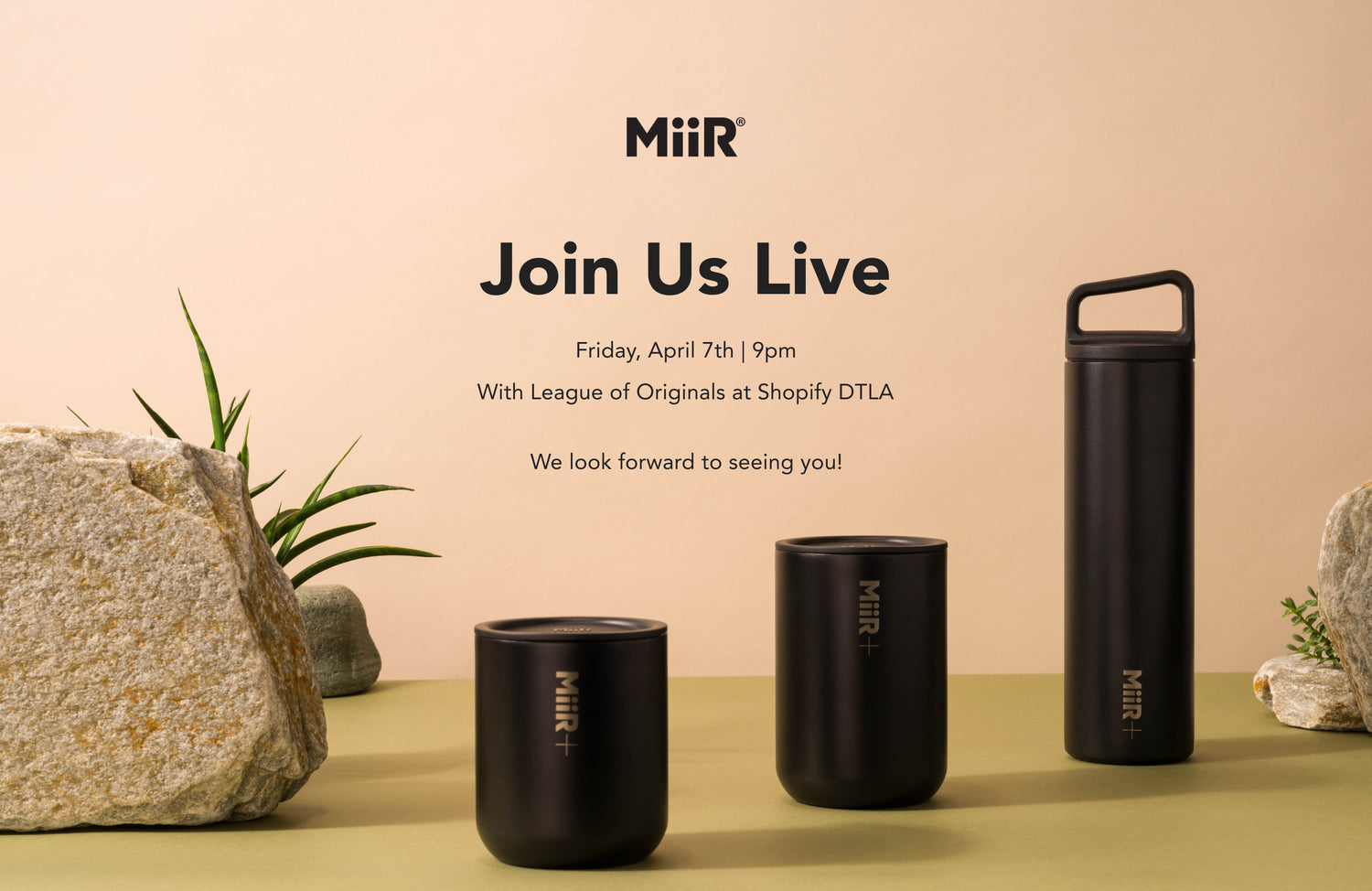 NOW Live Collection