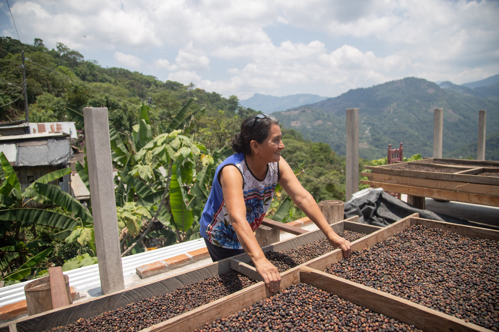 Woman standing over vats of coffee beans - Colectivo Rokunin, Mexico