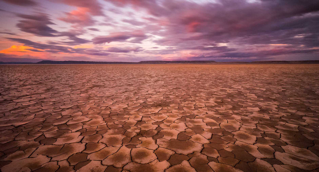 Alvord Desert