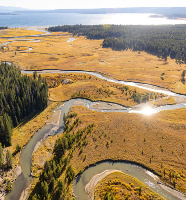 photo-yellowstone.jpg__PID:00c7d461-4427-45bf-83ae-5bc2cc84d636